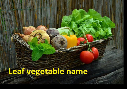 leaf vegetable and root vegetable
